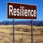Resilience is Key to Maximizing Selling Price