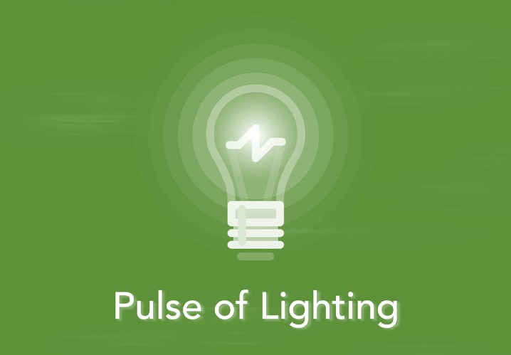 Q1 2024 Pulse of Lighting Survey