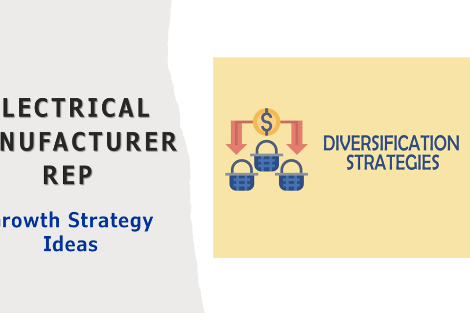 Electrical Rep Growth Strategy Diversify Suppliers Distributors Markets