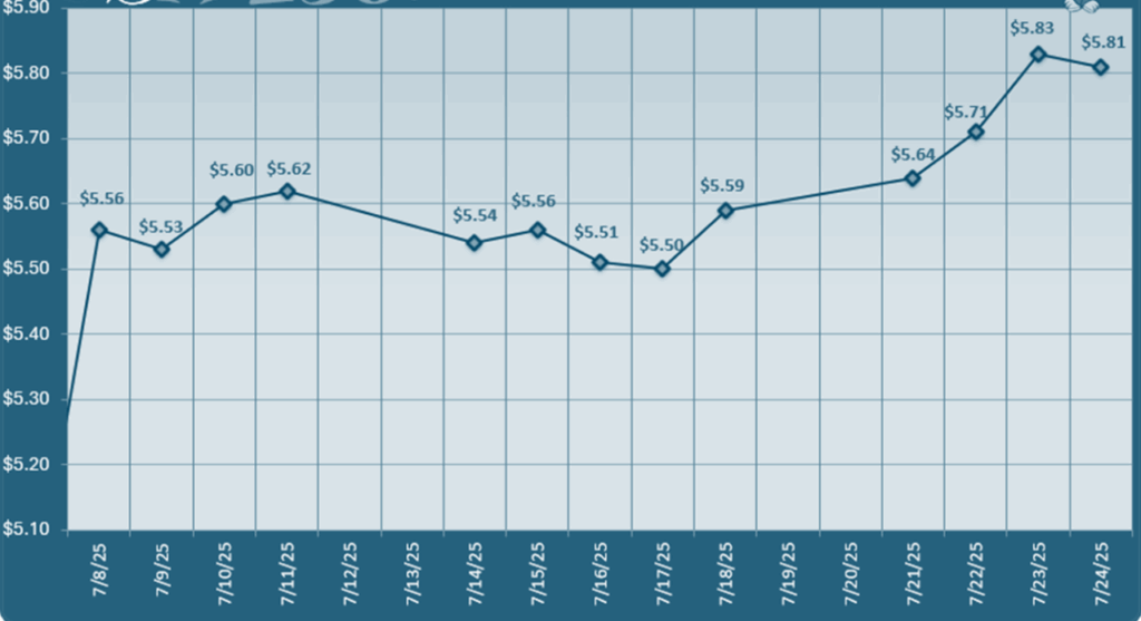 Copper Pricing July 2025